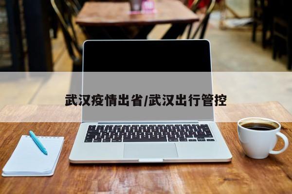武汉疫情出省/武汉出行管控