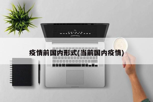 疫情前国内形式(当前国内疫情)