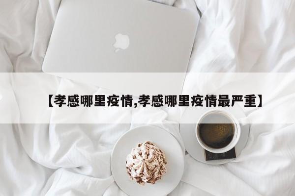 【孝感哪里疫情,孝感哪里疫情最严重】